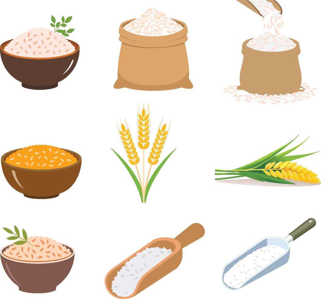 colorful basmati rice illustration set vector