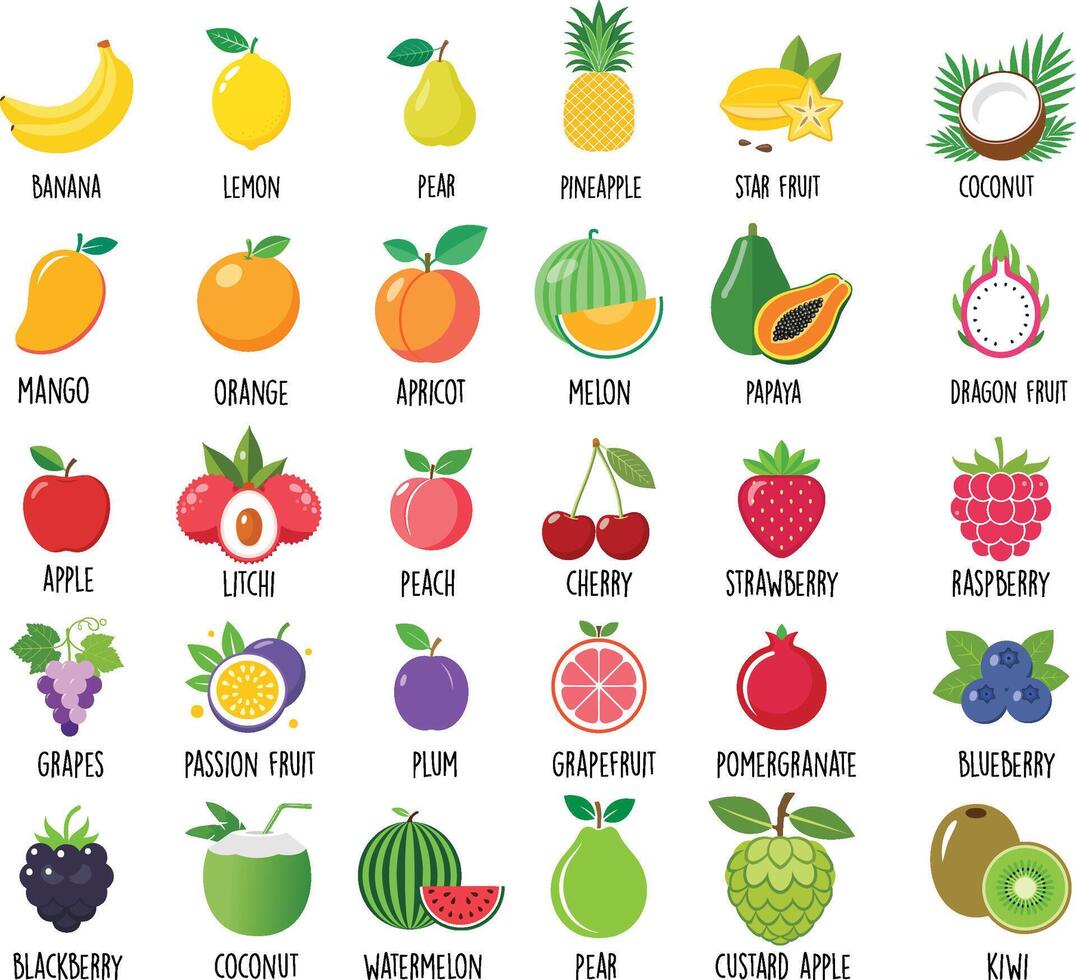 colorful fruits illustration set vector
