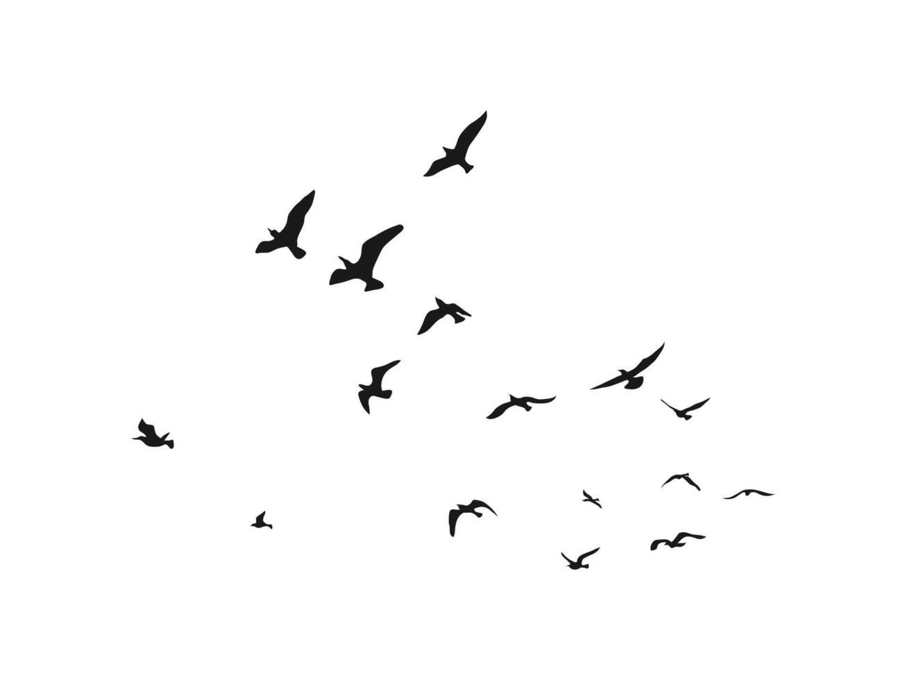 birds flying on sky isolated on white background vector