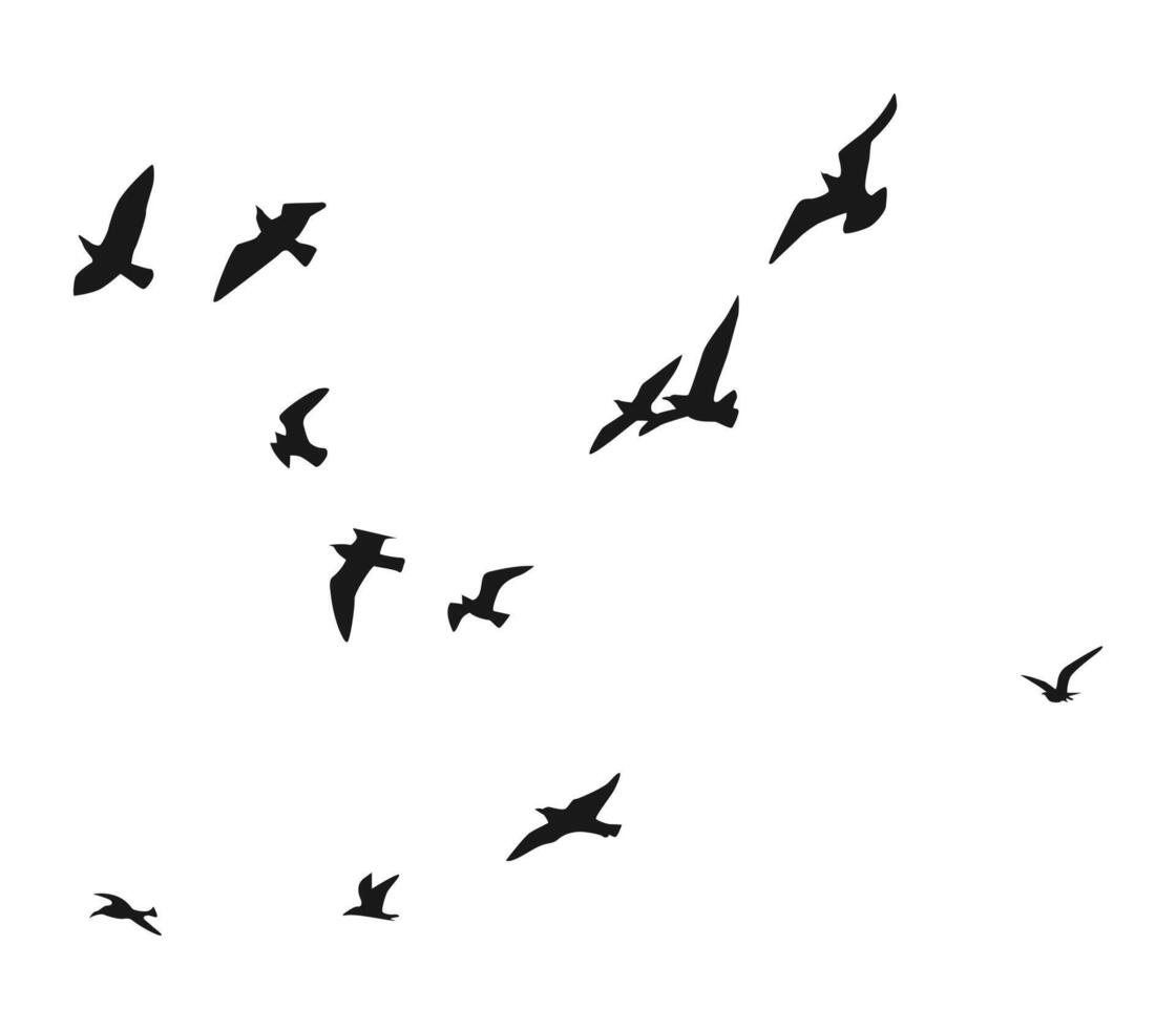 Many birds flying on sky isolated on white background. vector