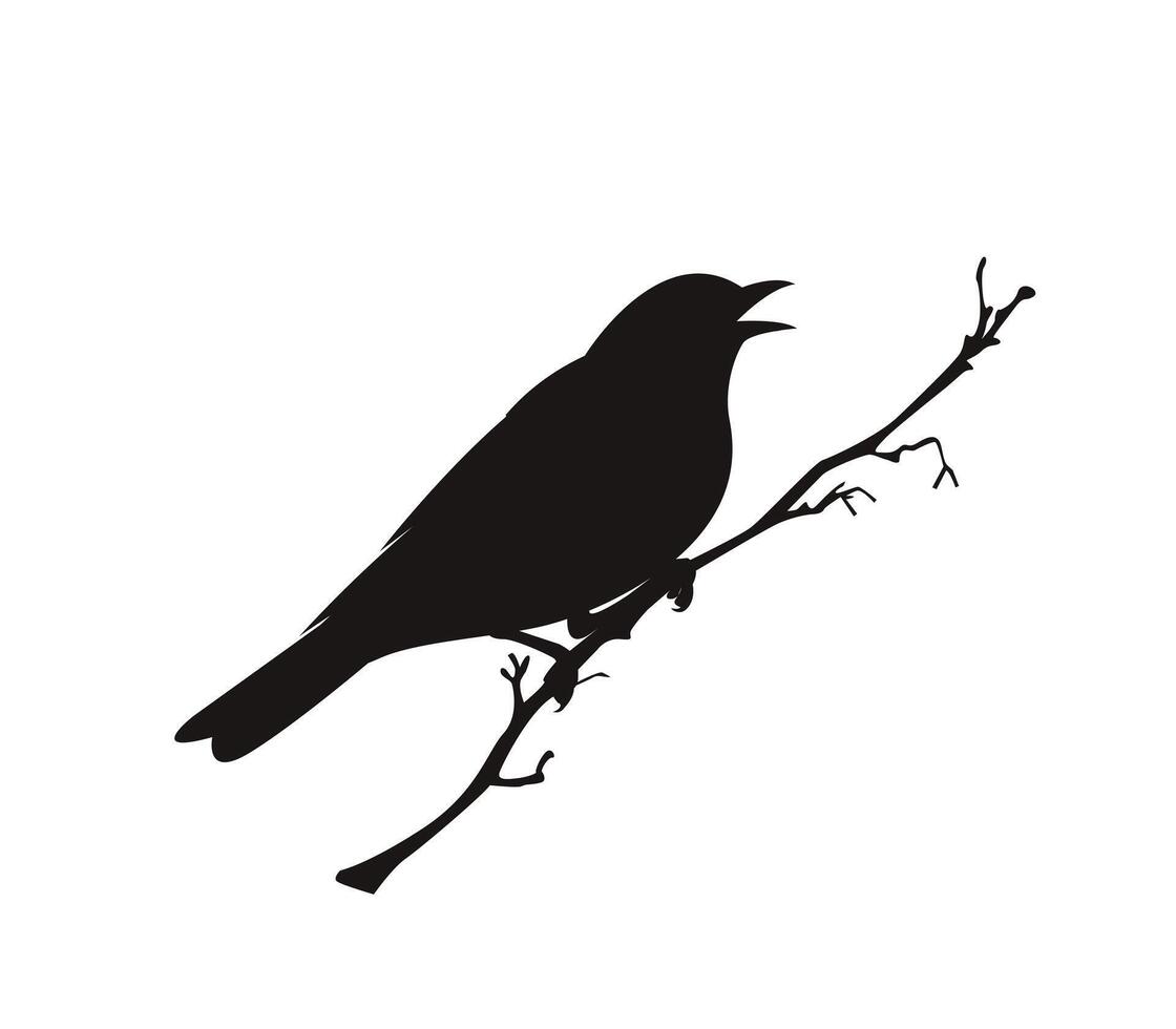 bird silhouette, silhouette of a bird on a branch vector