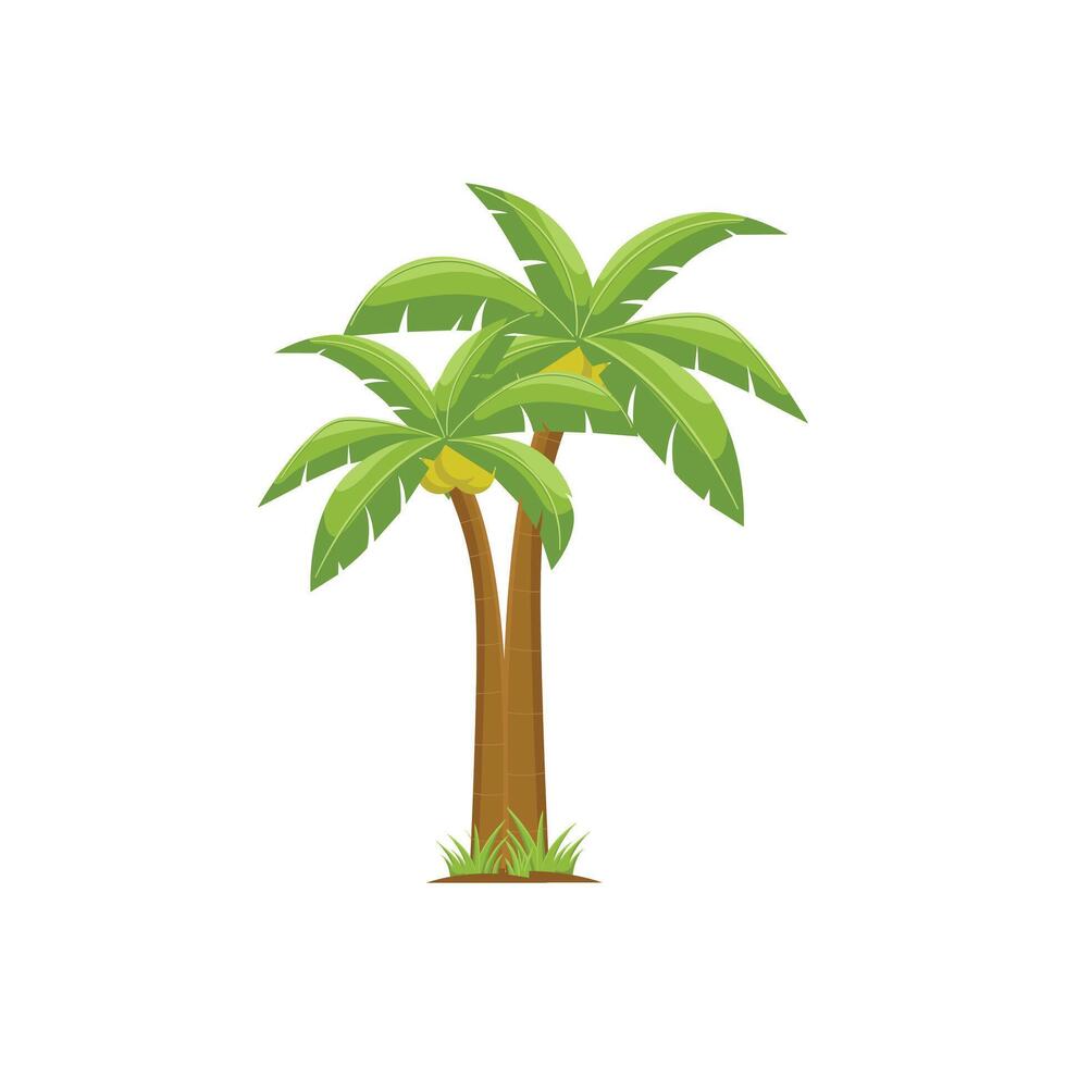 Coconut Trees, Palm illustration vector