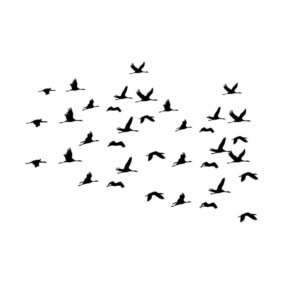 ducks are flying in a shoal vector