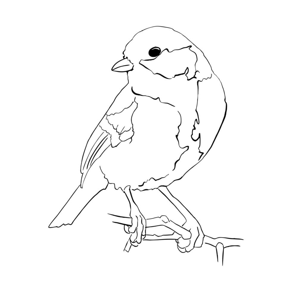 A bird is sitting on a branch vector