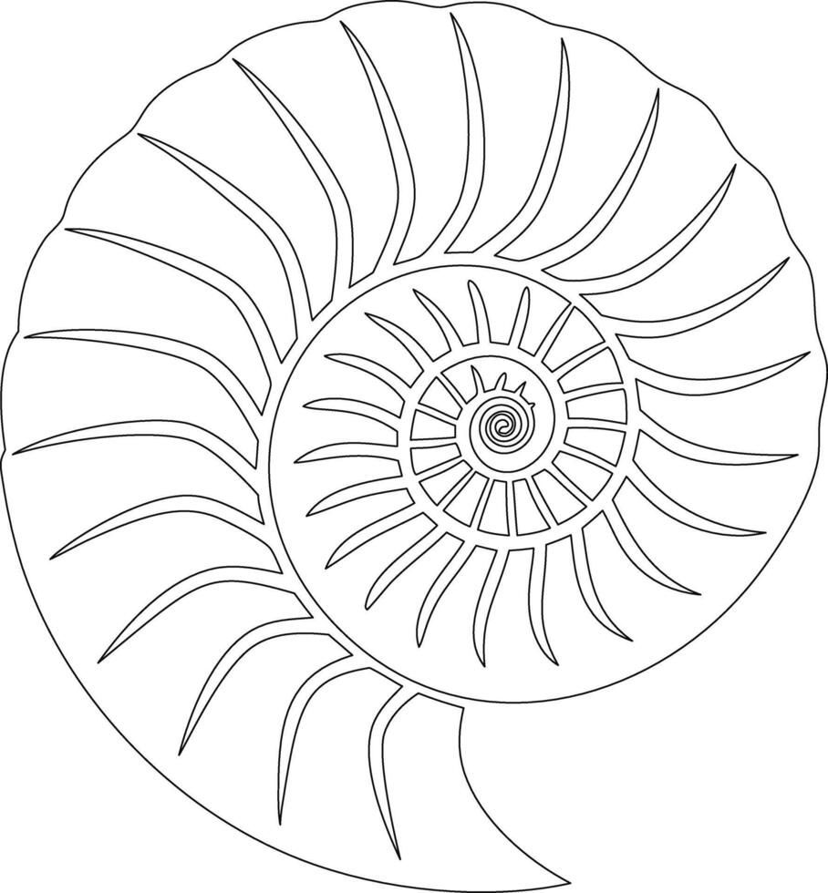 An outline of a spiral shell with a spiral pattern vector