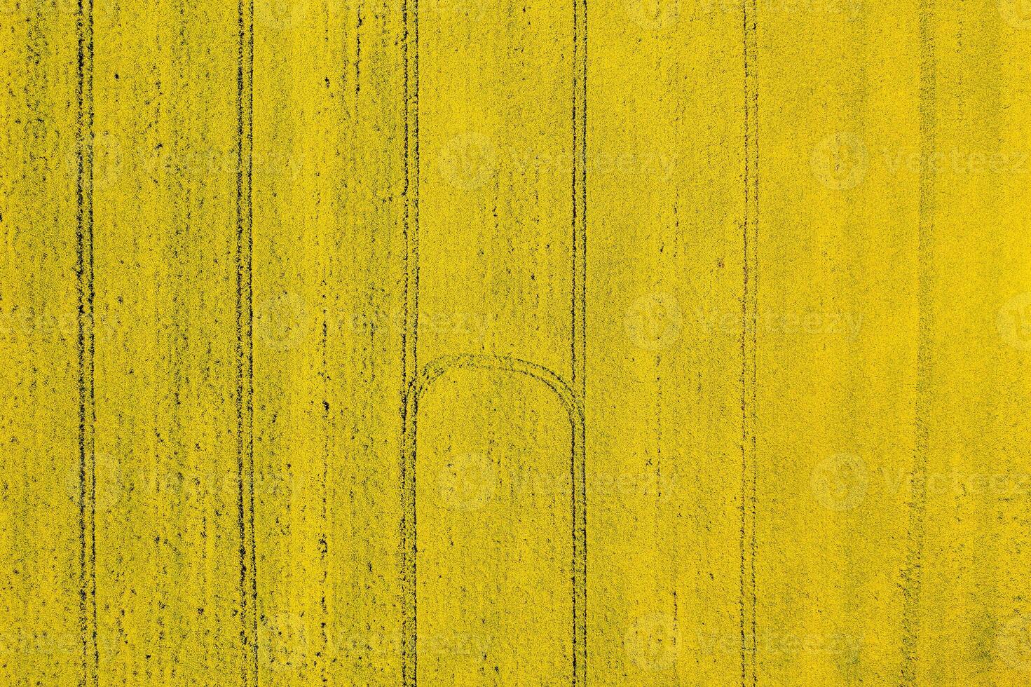 The abstract yellow farm field surface with tractor traces. Aerial top view. photo