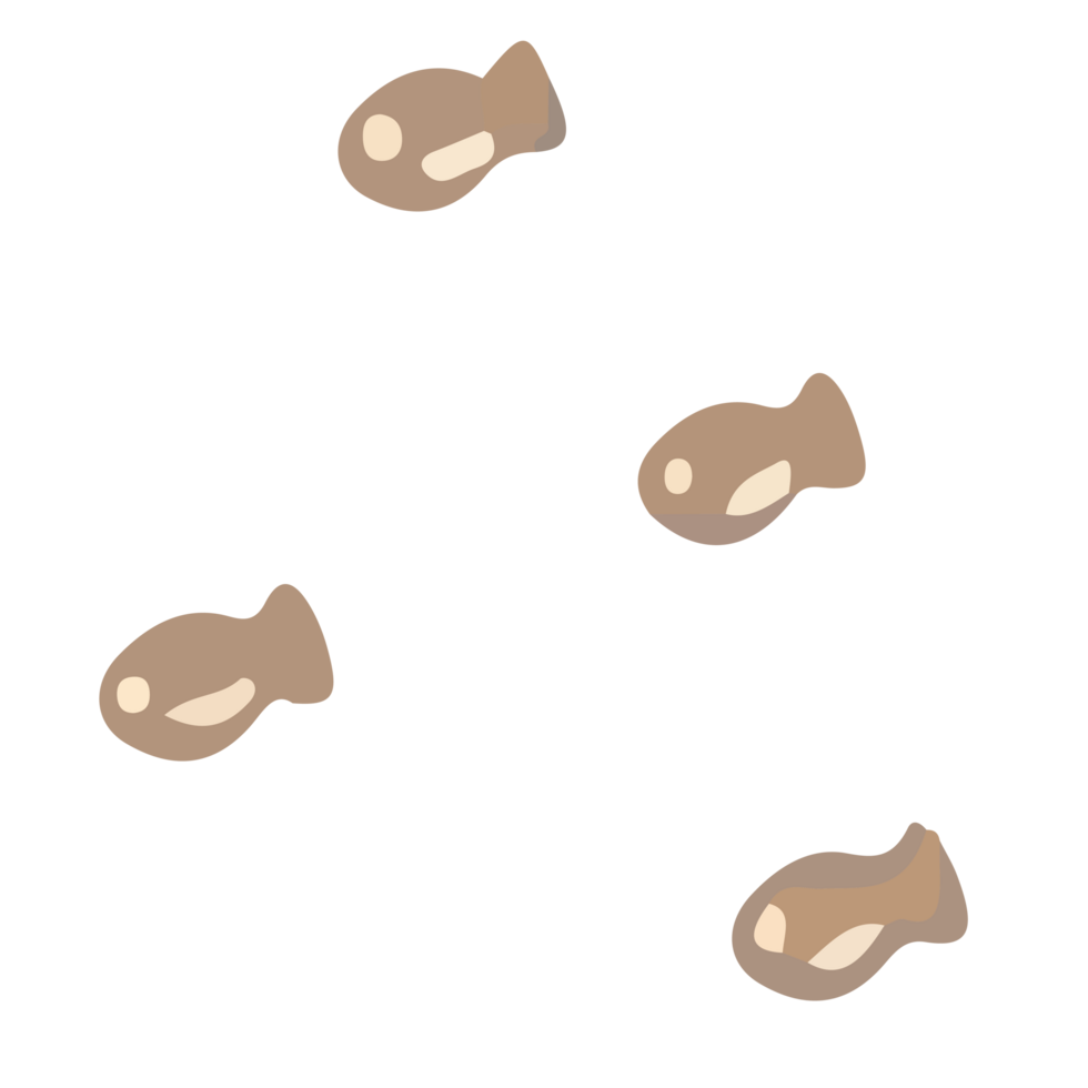 a group of brown fish on a transparent background png