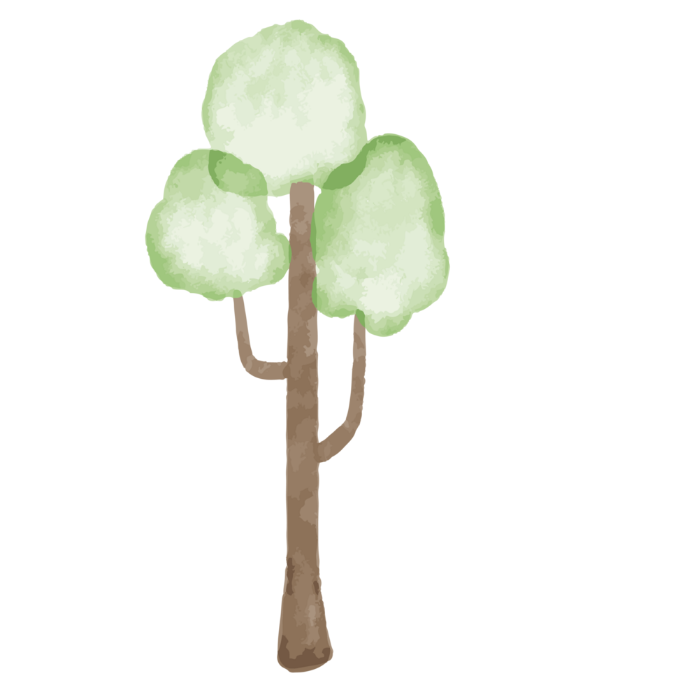 green tree The branches are separated. png