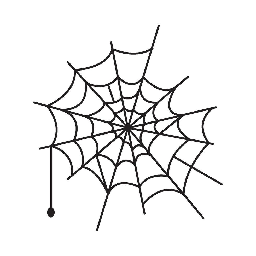 Spider web with spider and drop illustration vector