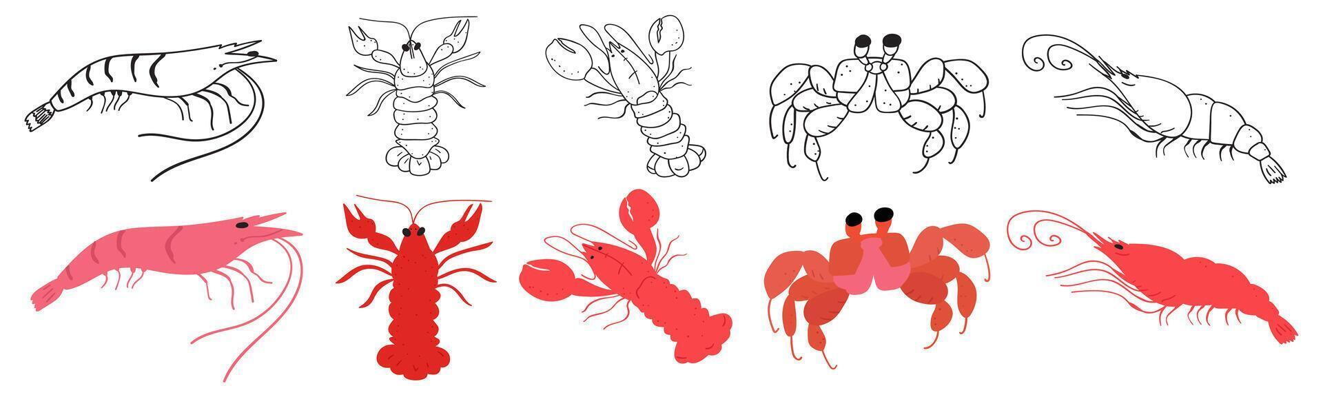 Seafood. Organic food. Healthy eating. Crustaceans. Crab, lobster, crayfish, shrimp. Collection of flat and outline hand drawn illustrations. vector