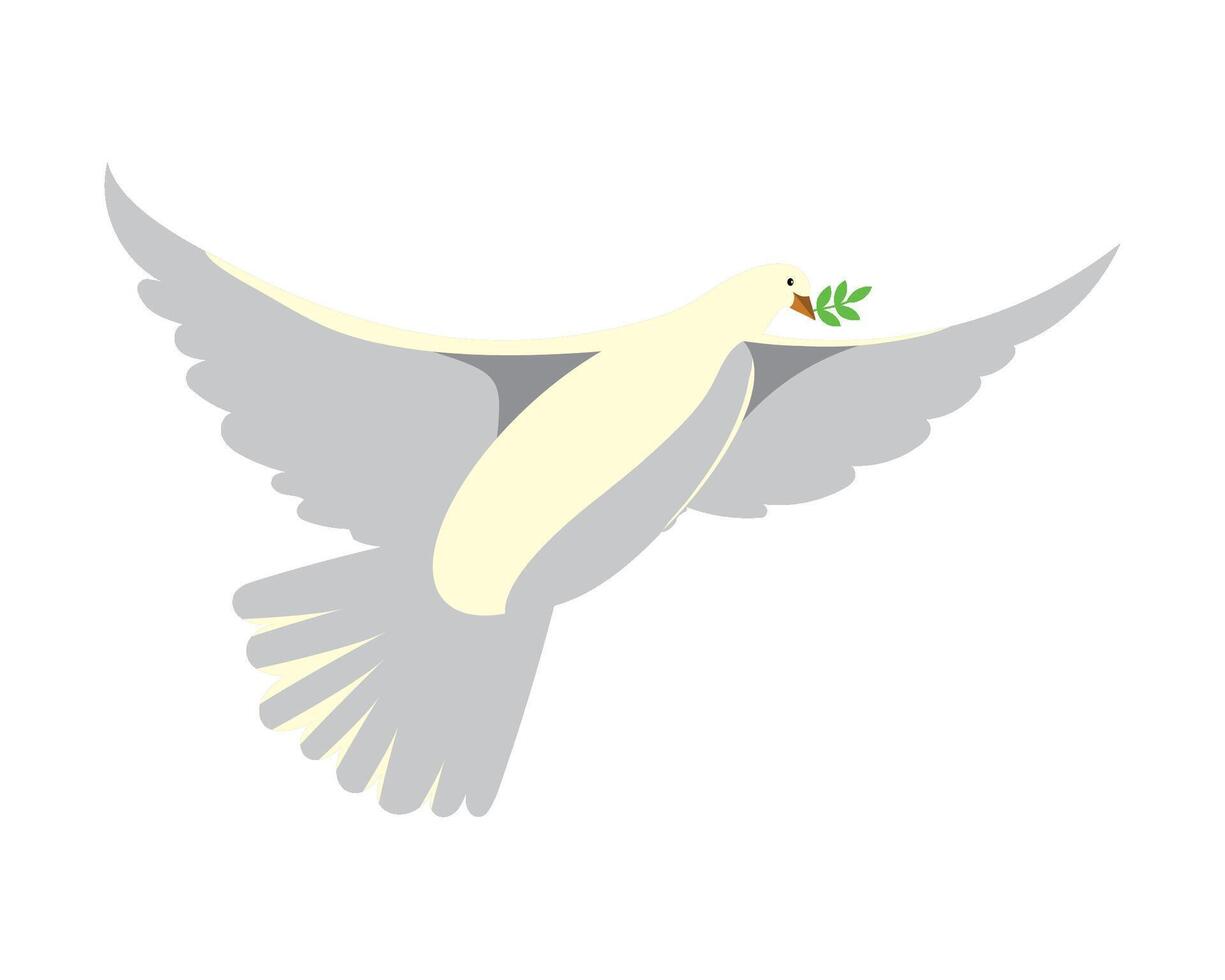 A white dove with an olive branch in its beak vector