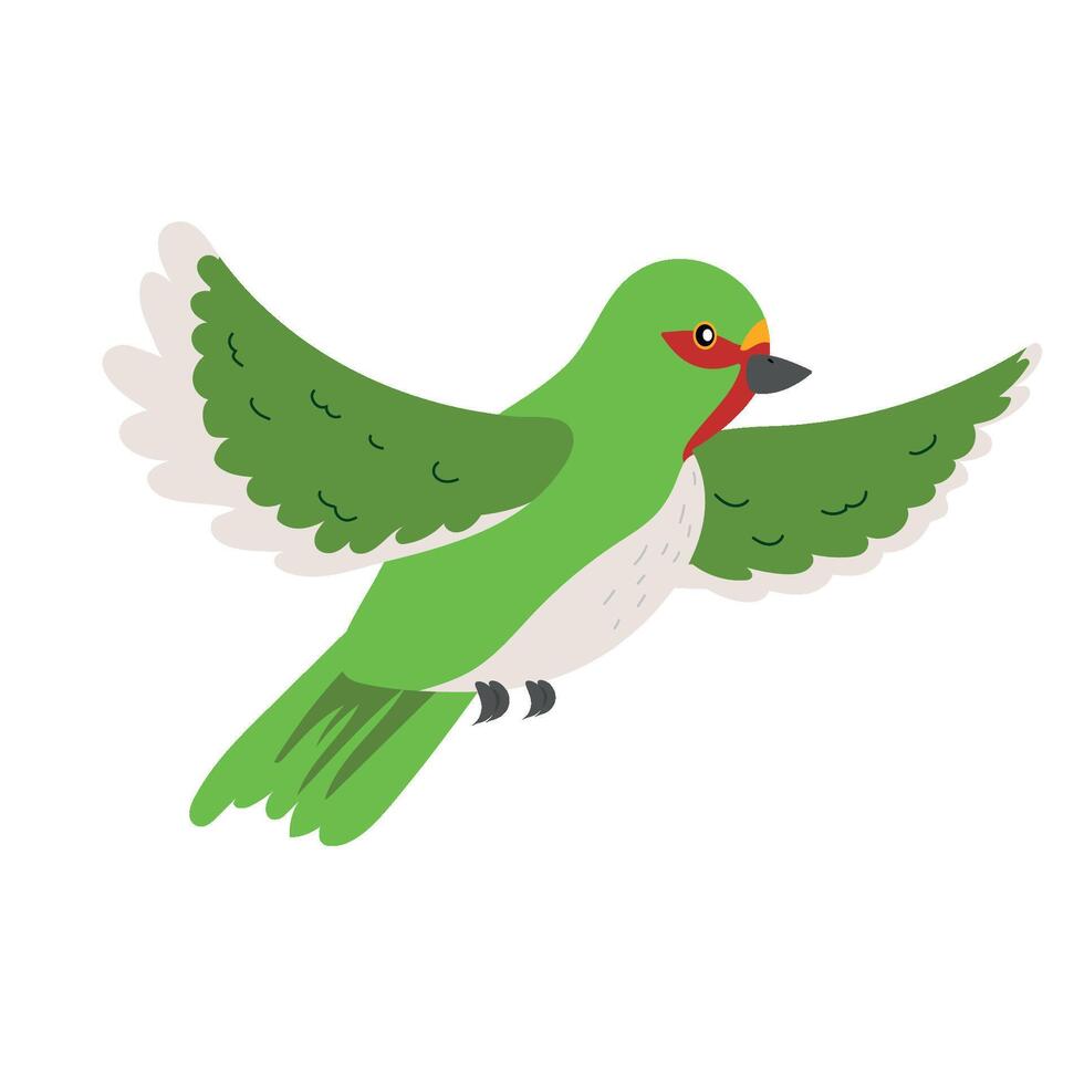 A green bird with red and white feathers vector