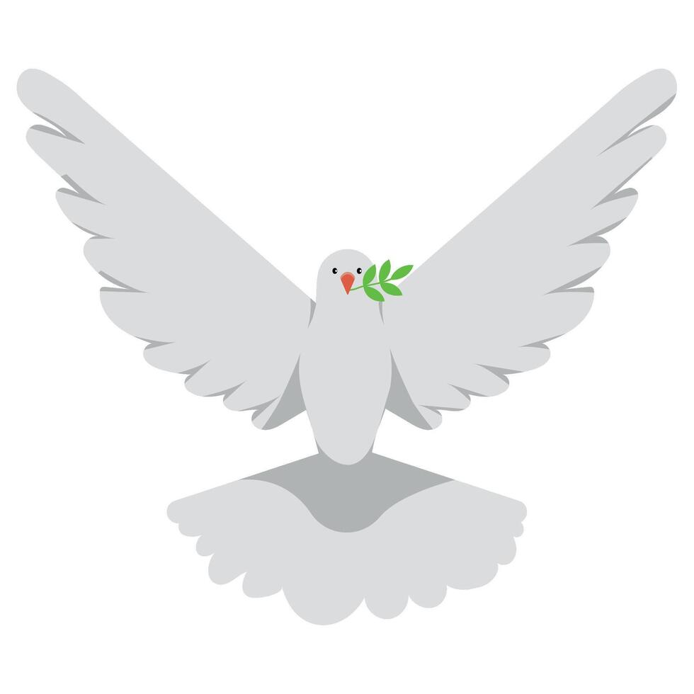 A white dove with an olive branch in its beak vector