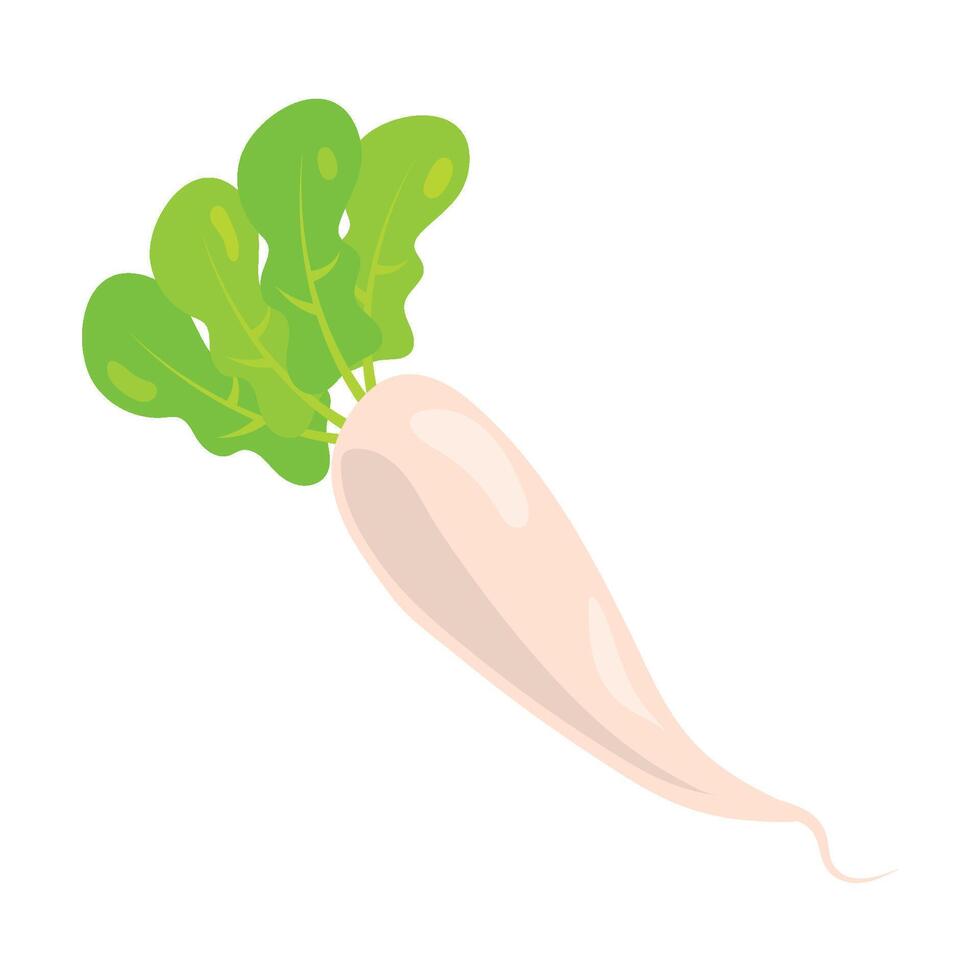 A white radish with green leaves on it vector