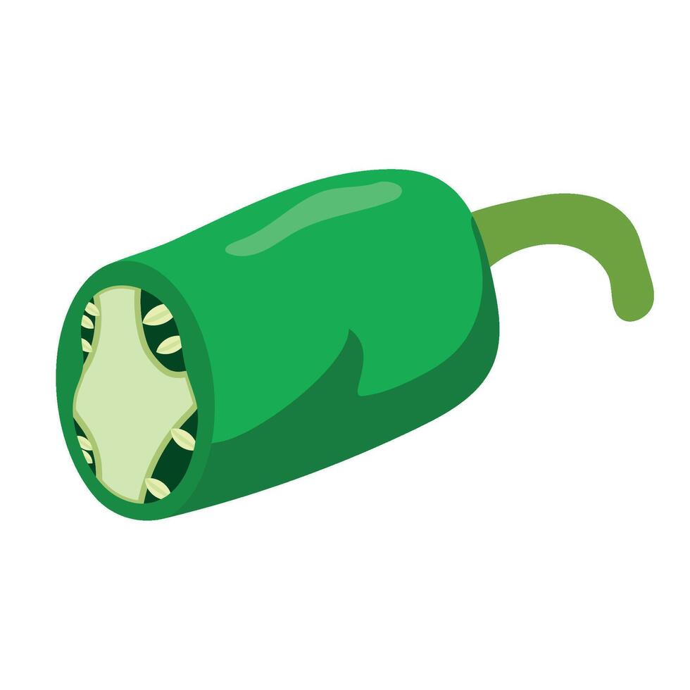 A green pepper with a green stem on a white background vector