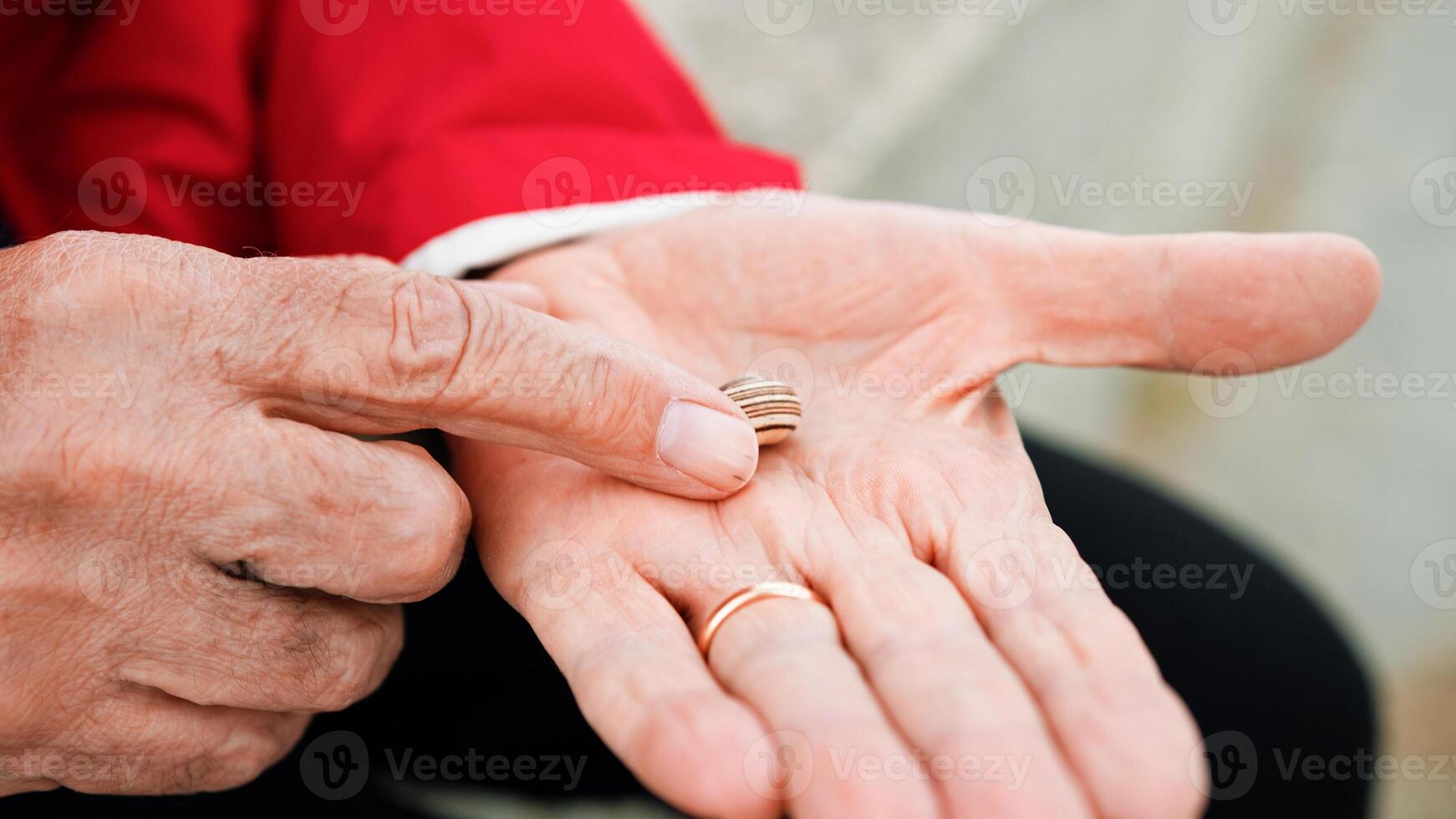 A Snail In The Hands Of A Man photo