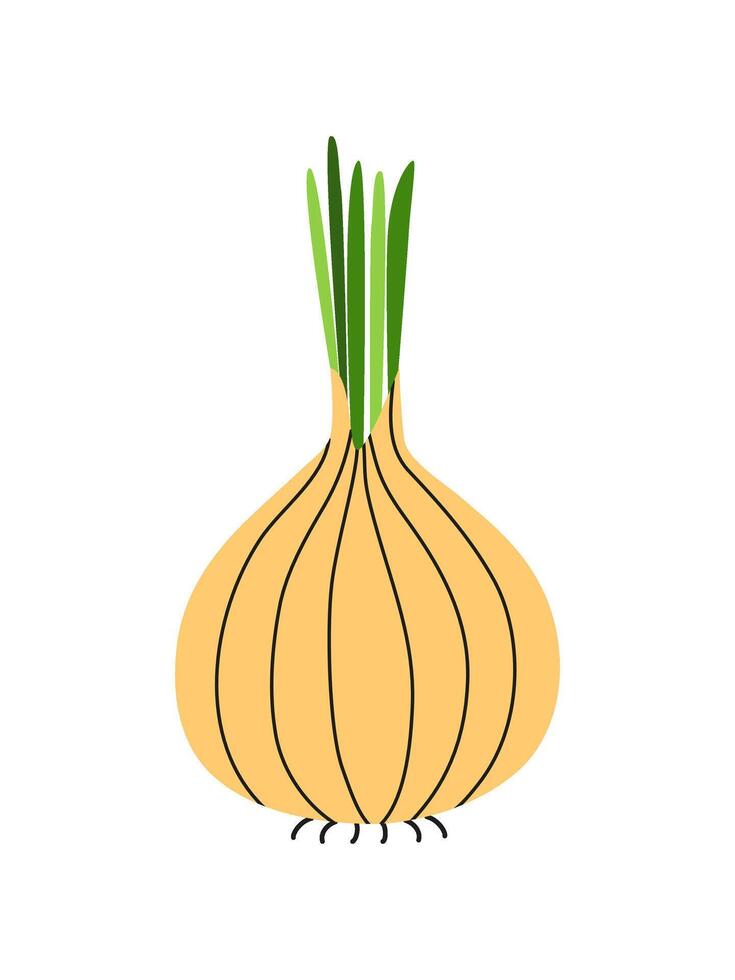Onion illustration. Doodle and icon isolated on white. Harvest festival. Healthy food. Vegetarian. Flavoring. Proper nutrition. . vector