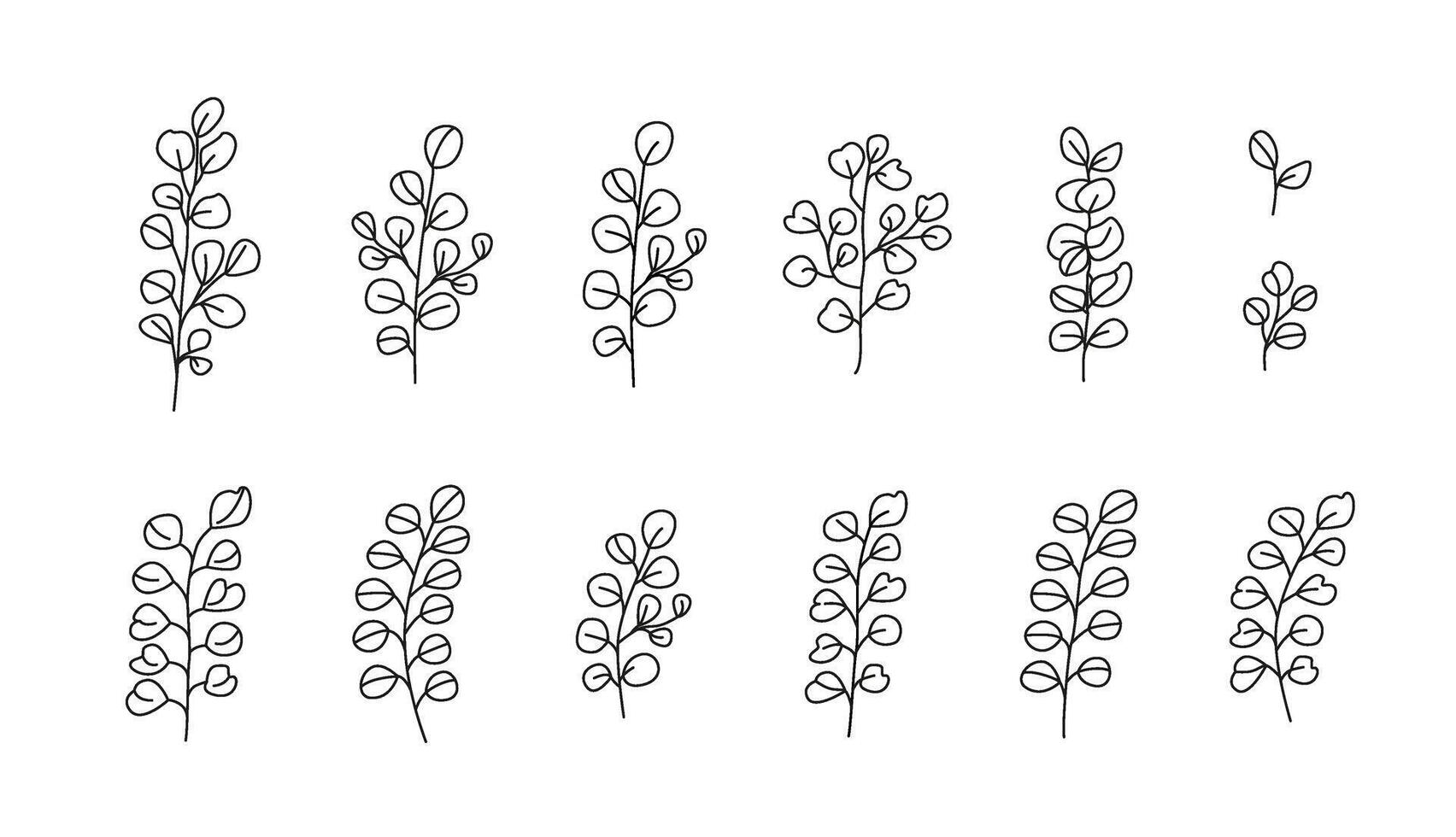 Linear branches of eucalyptus. Greenery and foliage for bouquets. Floral botanical line art. Coloring page. Black and white drawing. isolated on white. vector