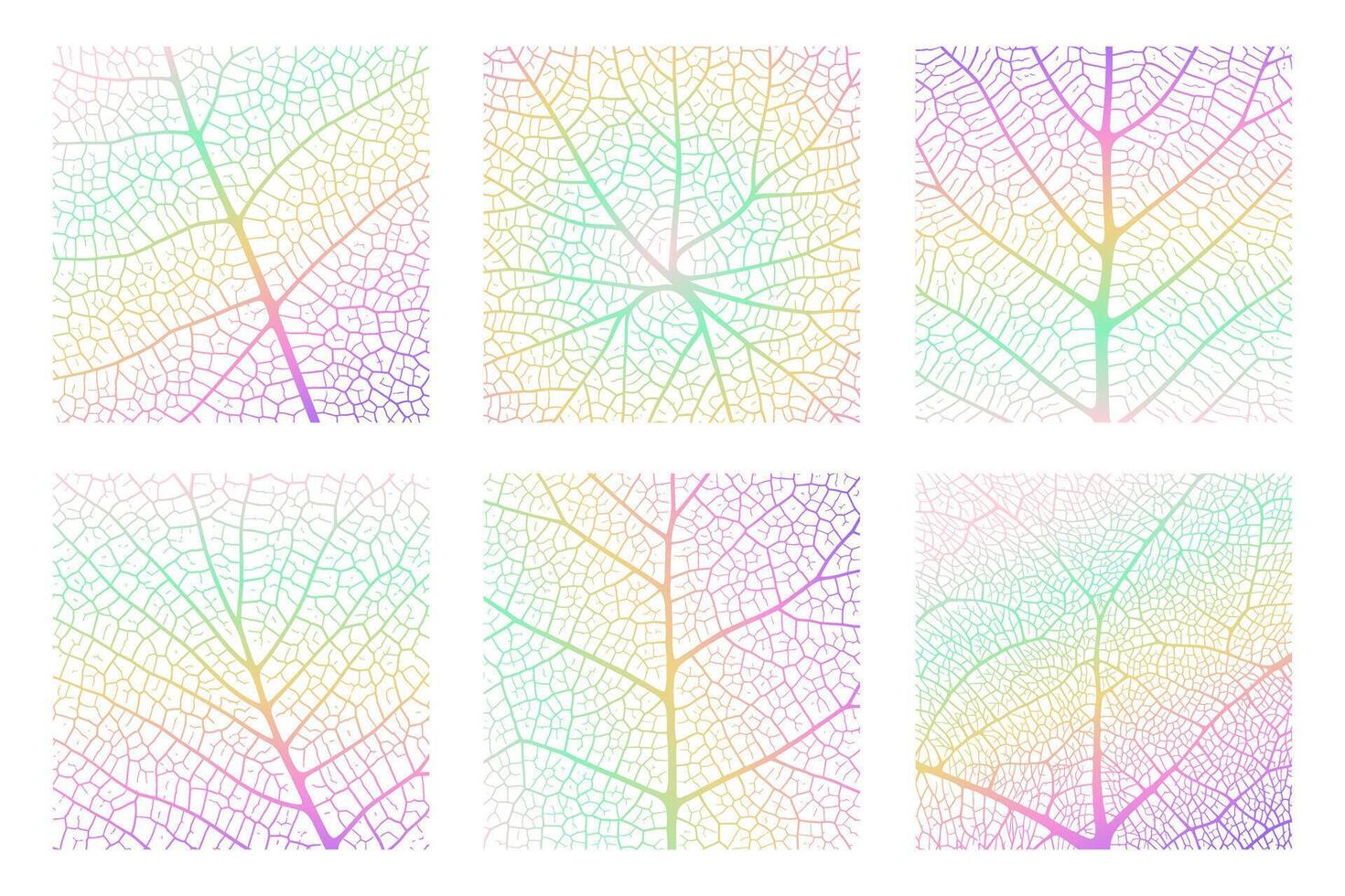 Leaf vein texture abstract background with close up plant leaf cells ornament texture pattern. vector