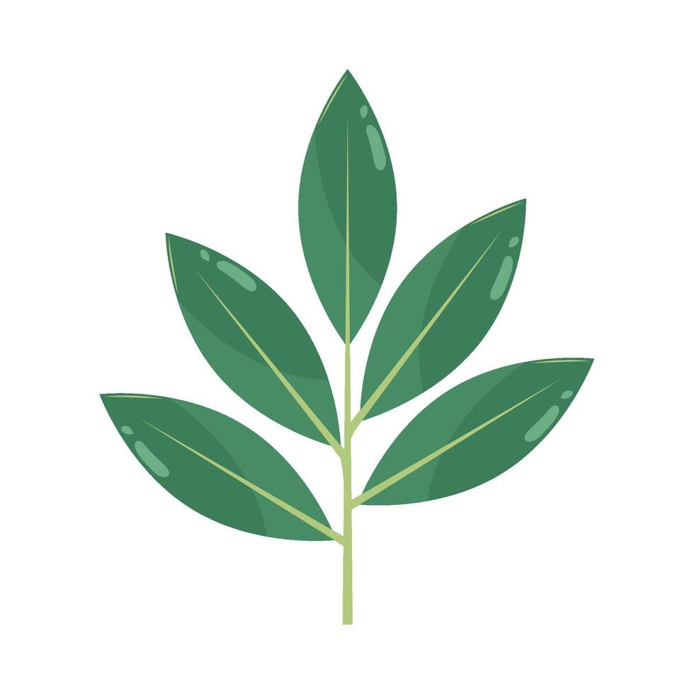 Green leaf illustration isolated on white background vector