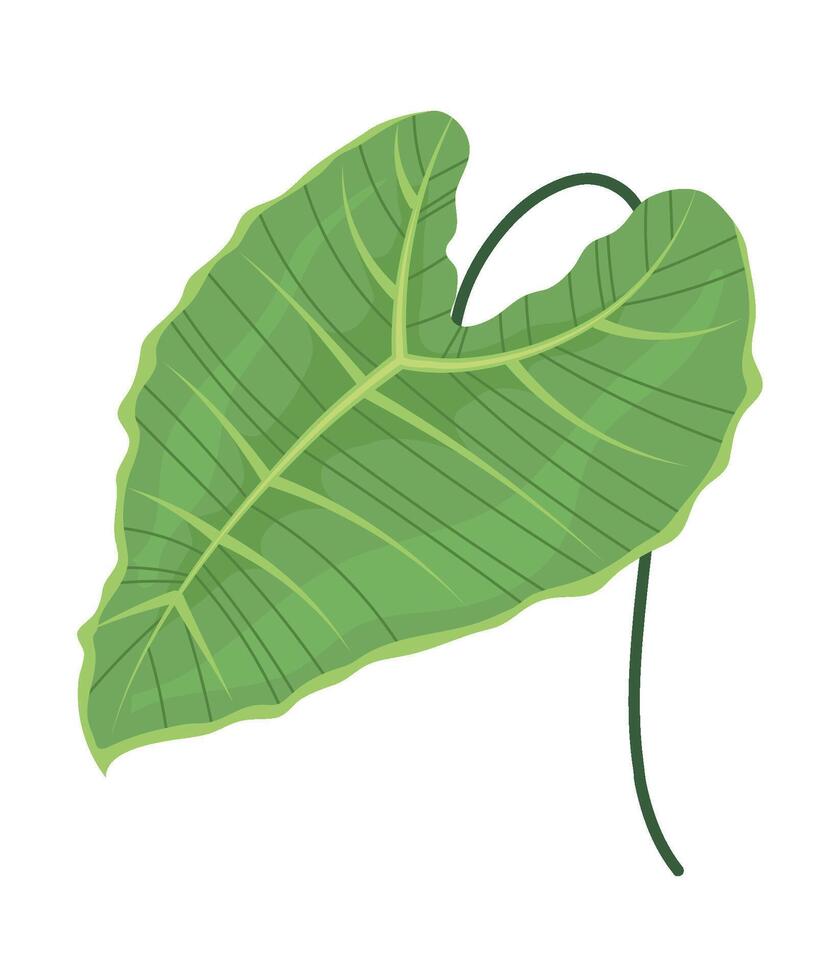 A green leaf with a long stem on a white background vector