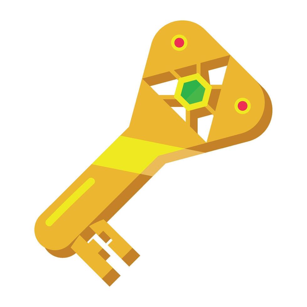 A golden key with a star on it vector