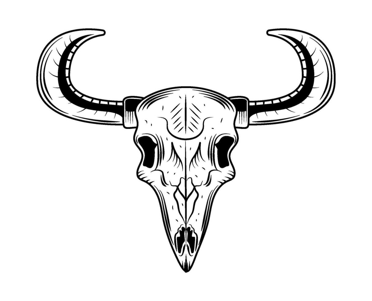 A bull skull with horns on a white background vector