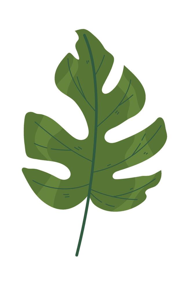 A green leaf with a white background vector