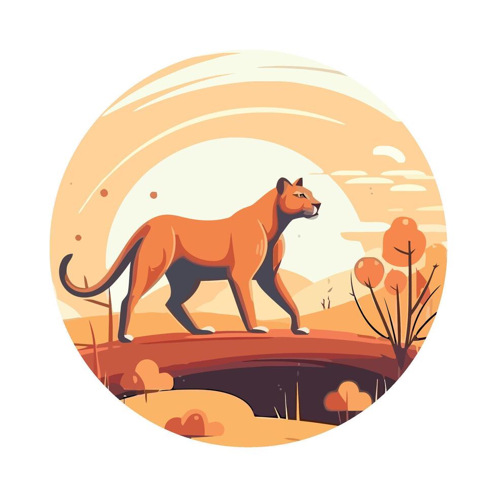 A lion walking across a field in the sunset vector