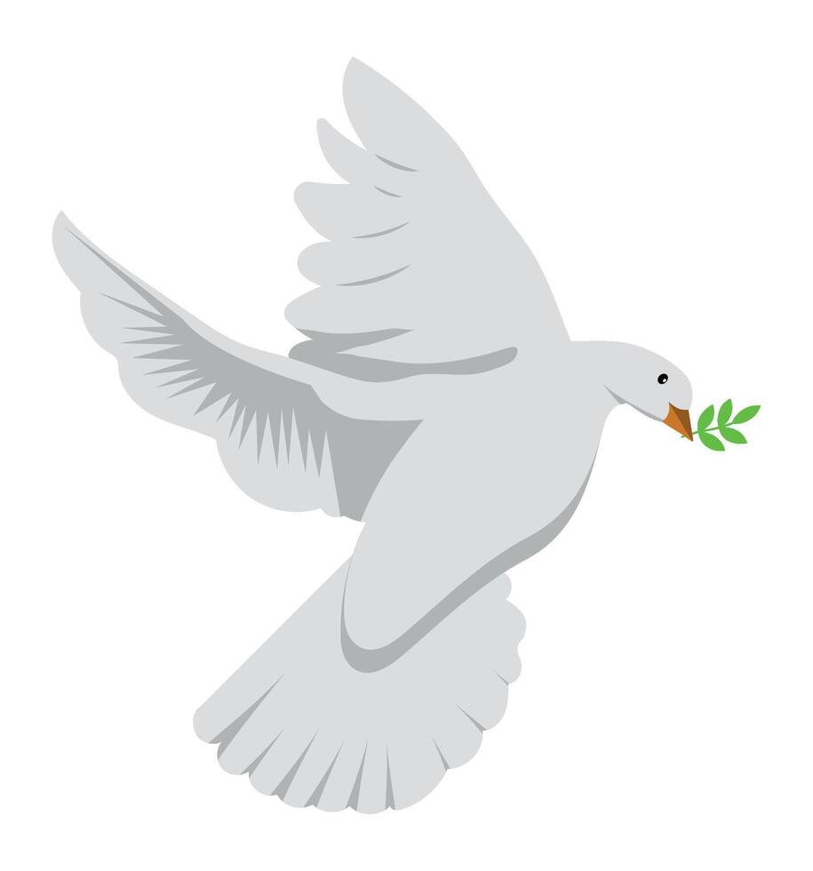 A white dove with an olive branch in its beak vector
