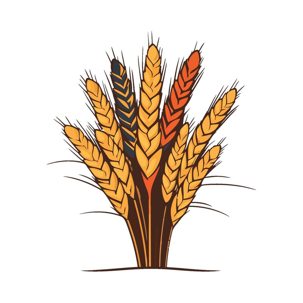 A wheat field with a bunch of wheat ears vector