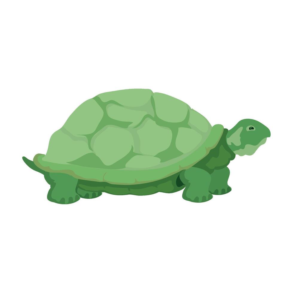 A turtle is standing on its hind legs vector