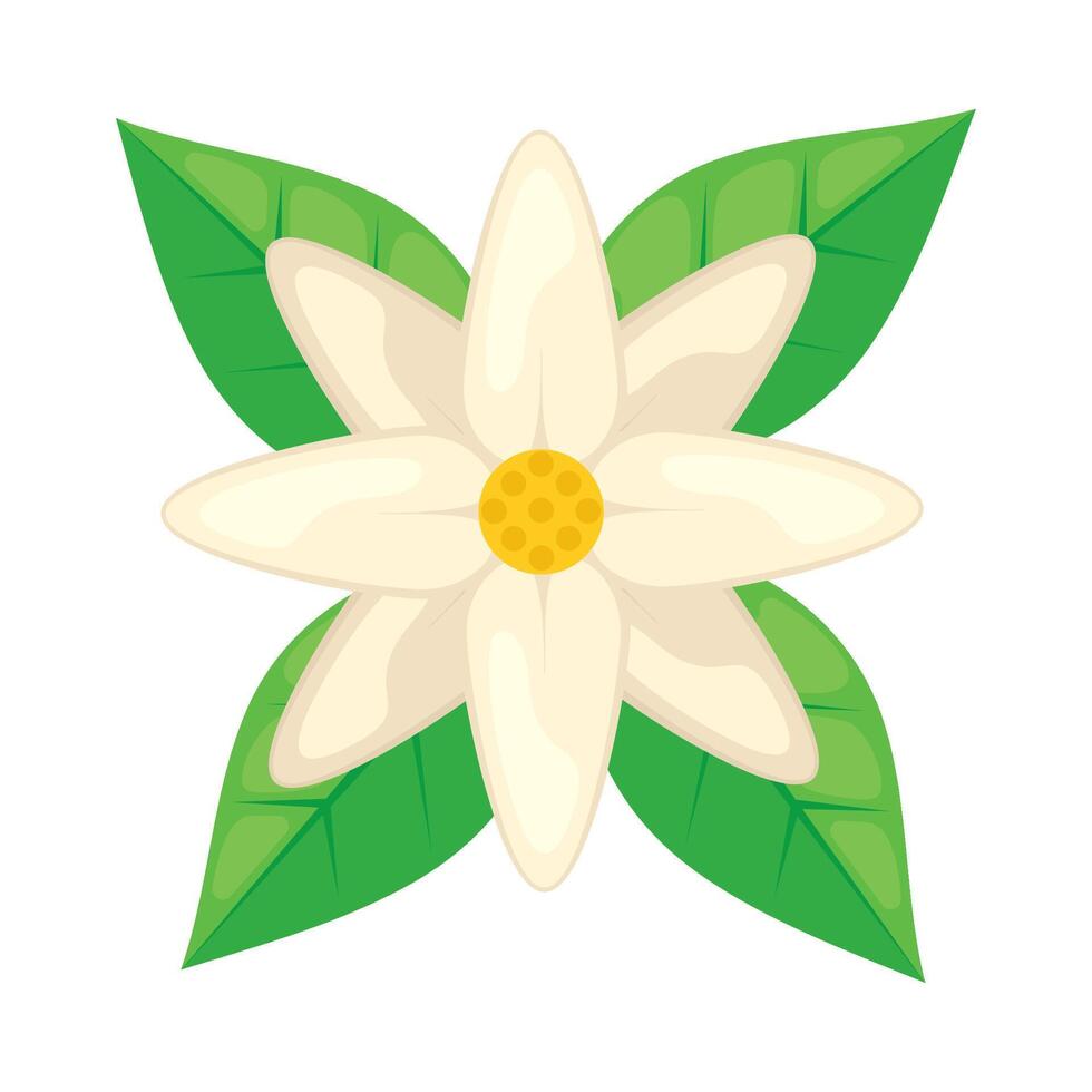 A white flower with green leaves on a white background vector