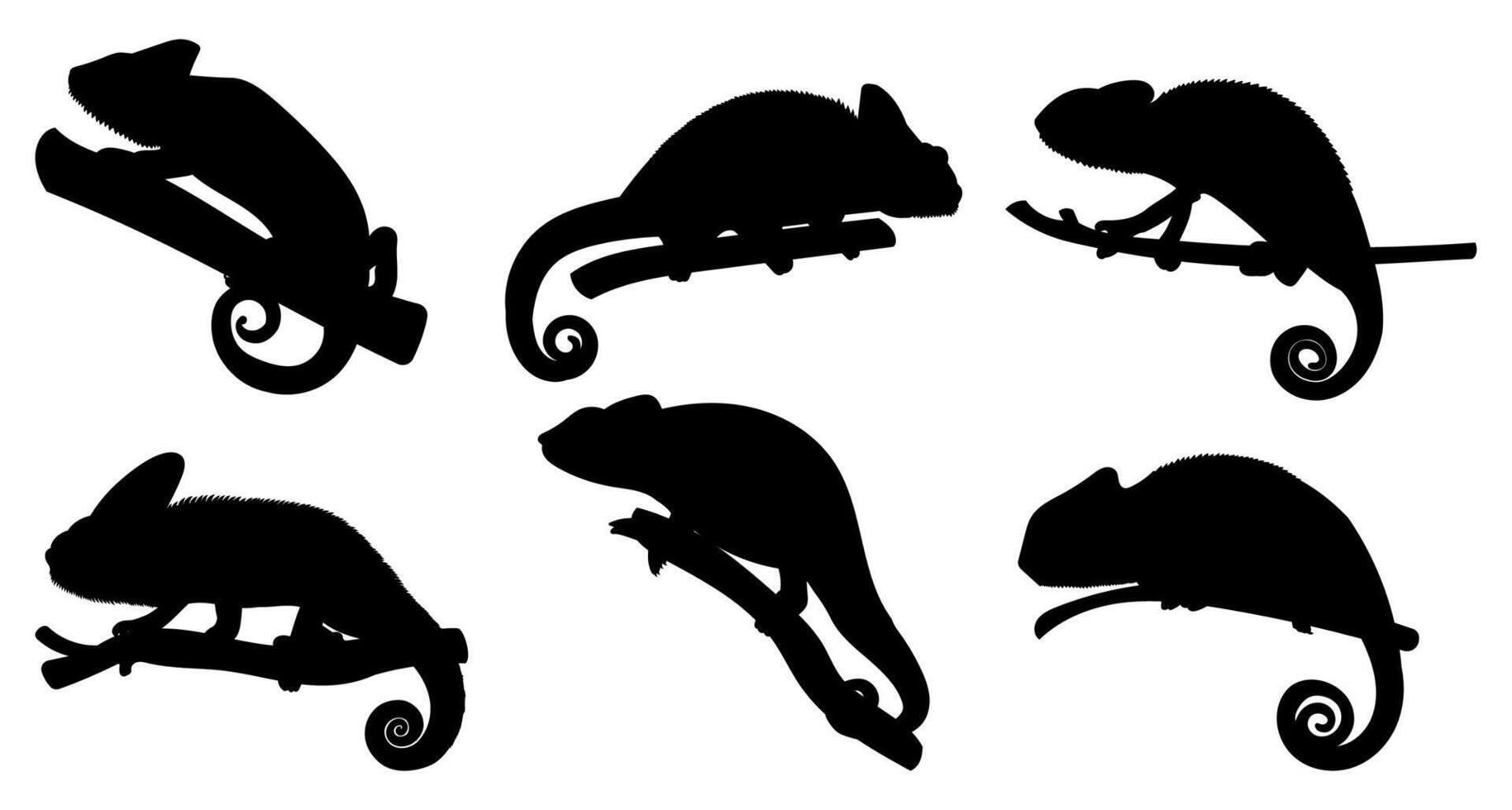 Chameleon silhouettes illustration set vector