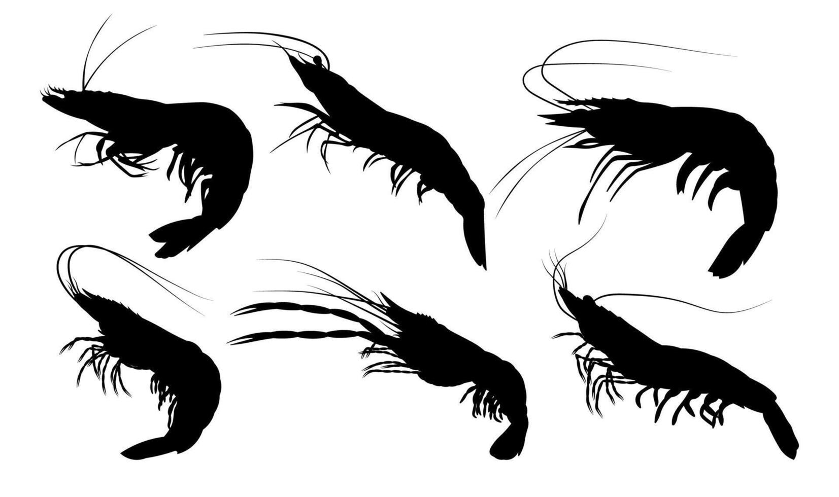 Collection of 6 items shrimp silhouette illustration vector