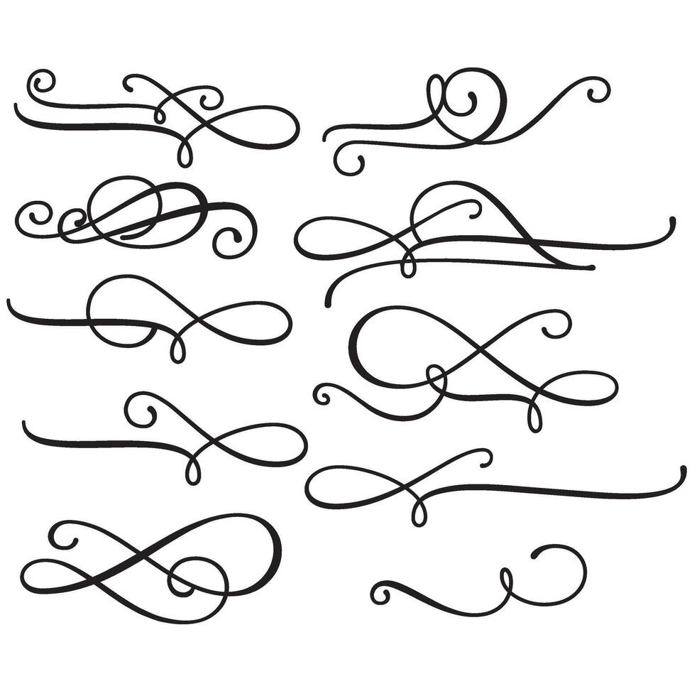 Swirl lines design graphic decoration vector