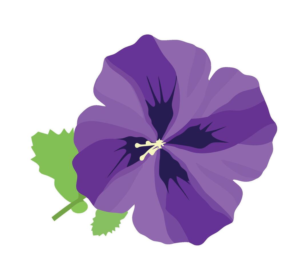 A purple flower with green leaves on it vector