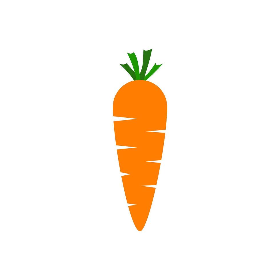 Carrot isolated on white background. vector