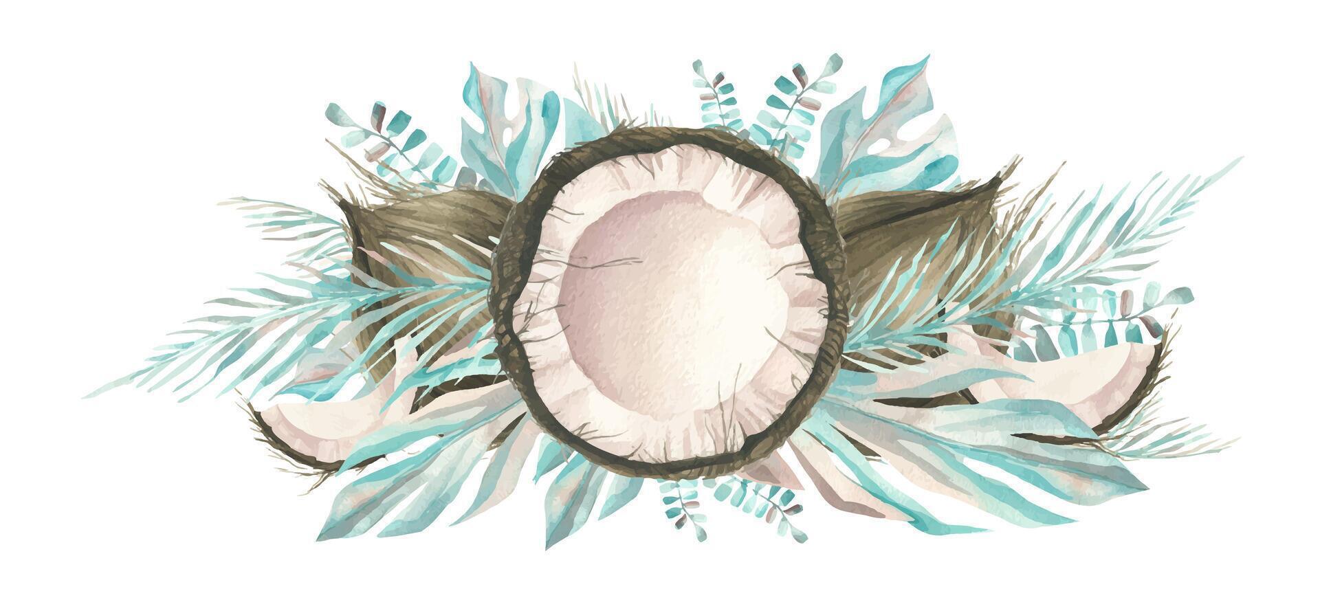 The coconuts are whole and opened with the leaves of tropical palm trees. Watercolor illustration. Composition of a large set of COCONUT. For decoration and design of food, cosmetics, packaging, logo vector