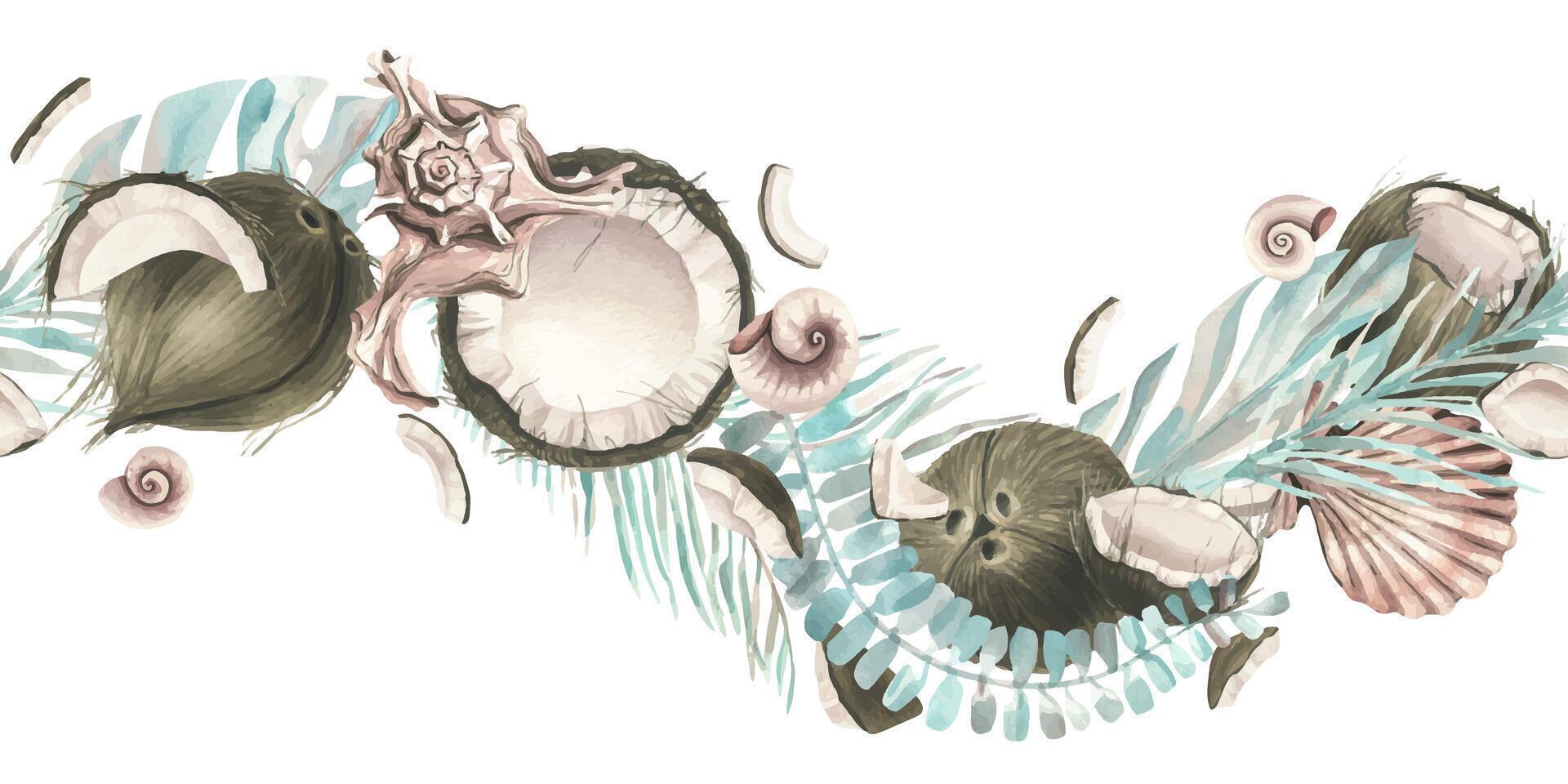 Whole coconuts and slices with tropical palm leaves and seashells. Watercolor illustration. Seamless boarder on a white background from the collection of COCONUTS. For the design and of prints vector