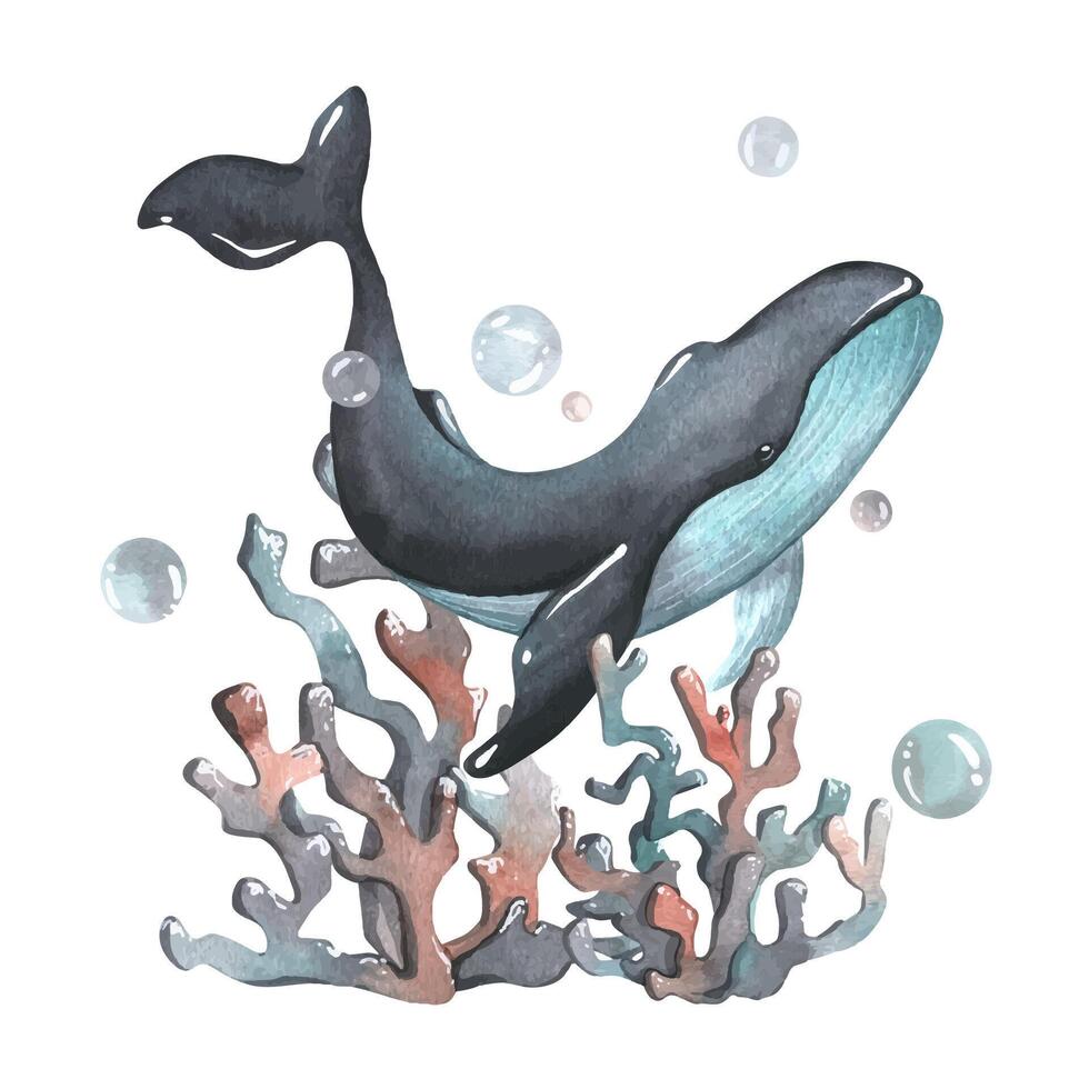 Whale with corals and bubbles. watercolor illustration. Composition from the collection WHALE. For decoration and design of nautical, children s prints, posters, stickers, postcards. vector