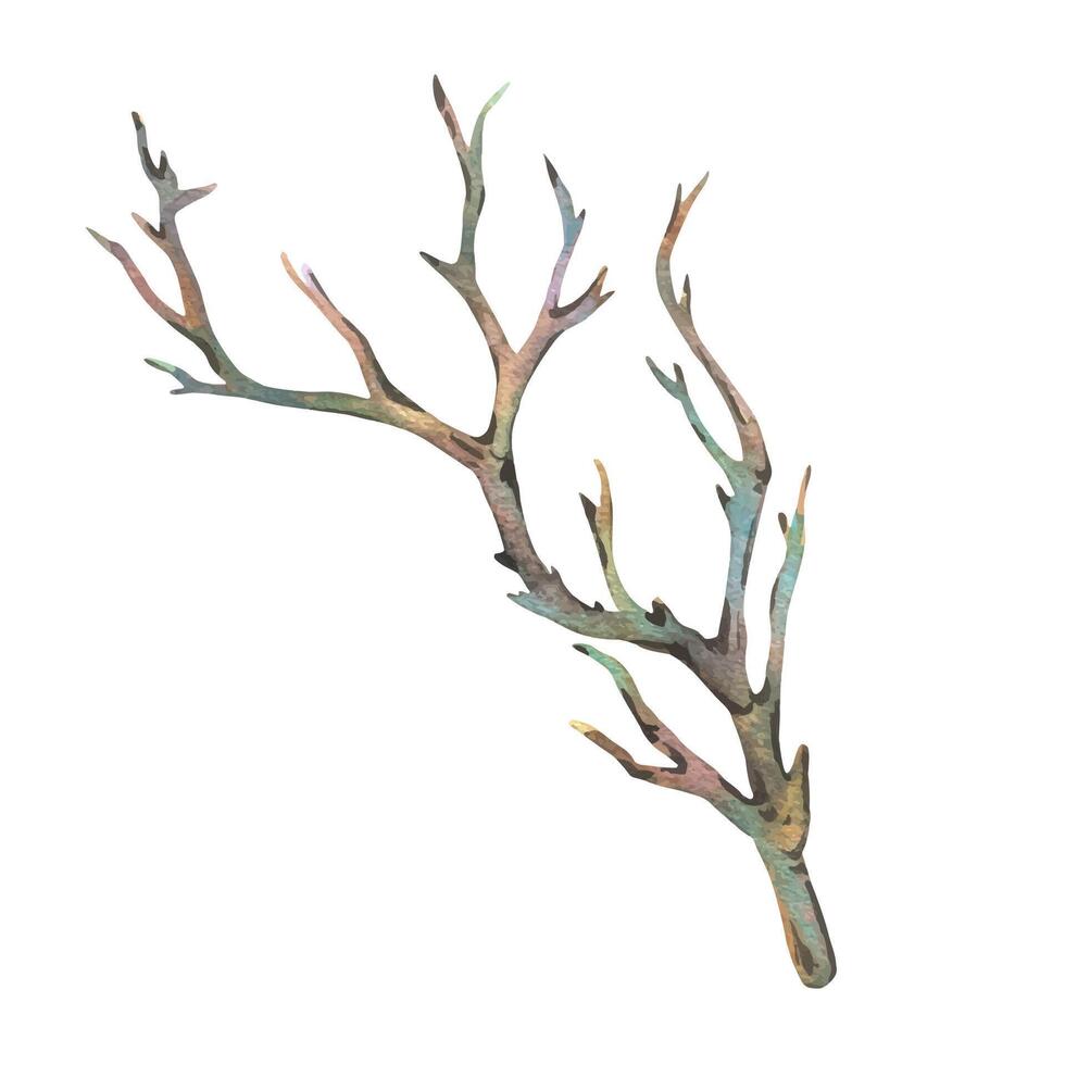 Brown dry tree branch without leaves. Watercolor illustration hand drawn in botanical style. Separate object element isolated from background. vector
