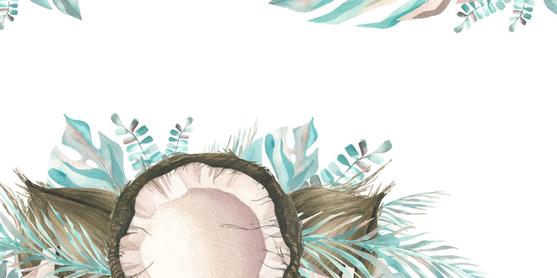 The coconuts are whole and opened with the leaves of tropical palm trees. Watercolor illustration. Composition of a large set of COCONUT. For decoration and design of food, cosmetics, packaging, logo. vector