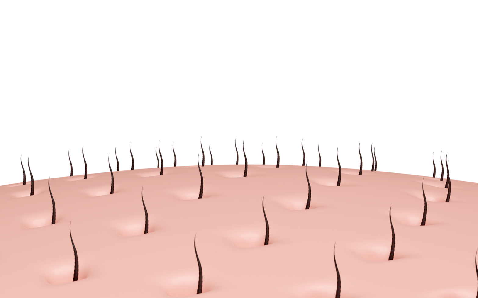 3d hair care with shampoo or serum for hair loss isolated. hair growth concept, 3d illustration render png