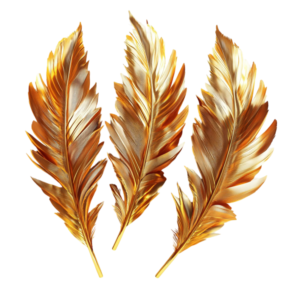 Golden Bird Feathers on Transparent Background AI-Generative png
