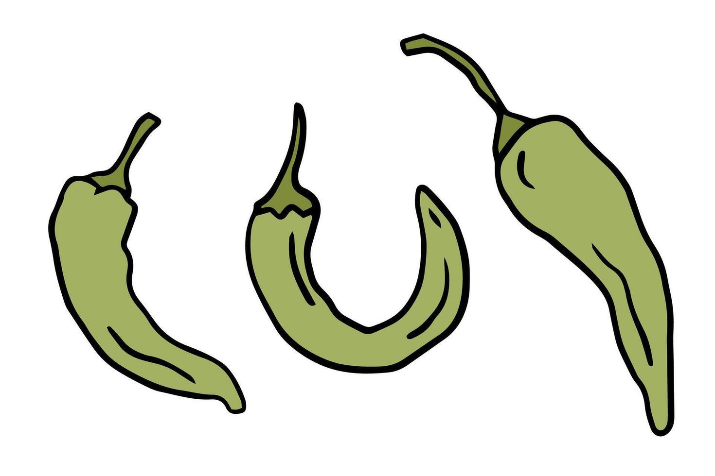 green pepper, color doodle style for culinary blogs, recipe cards, kitchen decor, educational material on spicy foods. Mexican food vector