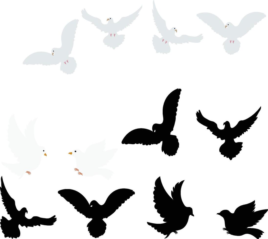 Dove silhouette bird silhouette vector