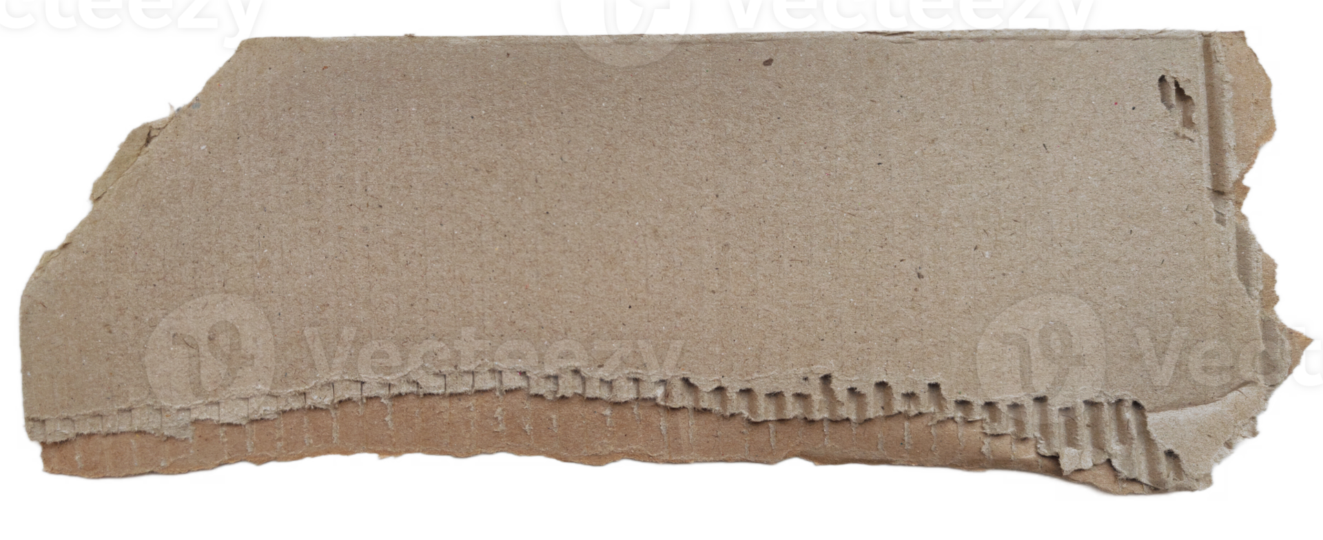 cardboard torn piece with blank space for text label or background png