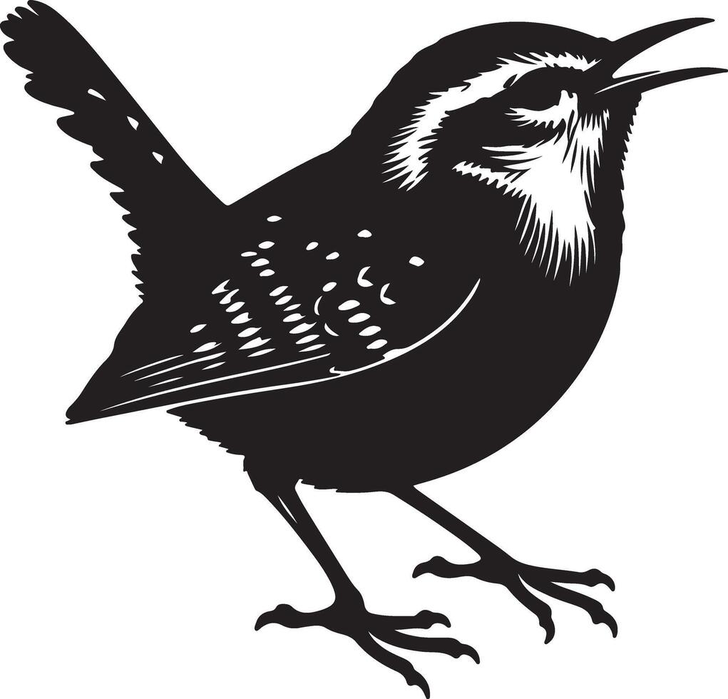 Wren silhouette illustration on white background vector