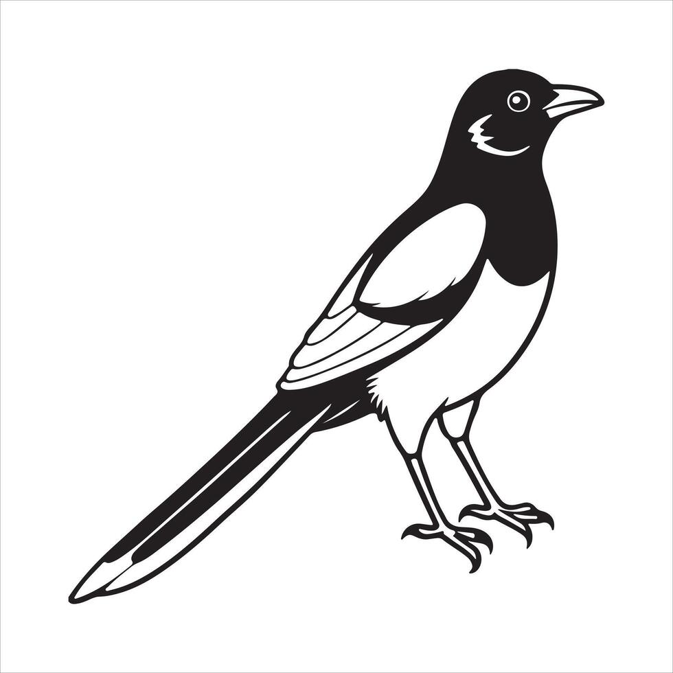A Magpie Bird Art Illustration vector